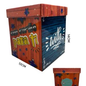 CAJA CON TAPA MEDIANA x12